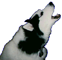 Picture of Kiev howling