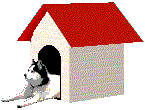 Picture of Kiev in doghouse