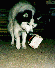 Picture of Kiev carrying basket